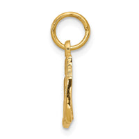 Load image into Gallery viewer, 10k 50th ANNIVERSARY Charm
