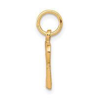 Load image into Gallery viewer, 10k Talking - SPOILED ROTTEN Charm
