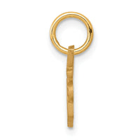 Load image into Gallery viewer, 10K SPECIAL SISTER Charm
