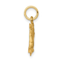 Load image into Gallery viewer, 10k Solid Satin Horsehead with Reins Charm
