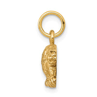 Load image into Gallery viewer, 10k Solid Satin Small Leopard Charm
