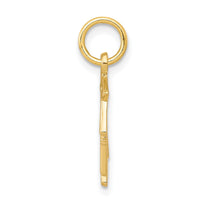 Load image into Gallery viewer, 10k Graduation Owl Charm
