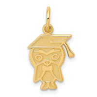 Load image into Gallery viewer, 10k Graduation Owl Charm
