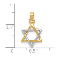 Load image into Gallery viewer, 10K Two-tone Polished Star of David Pendant
