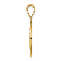 Load image into Gallery viewer, 10K Polished and Satin Miraculous Medal Charm
