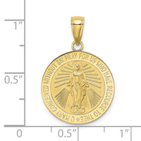 Load image into Gallery viewer, 10K Polished and Satin Miraculous Medal Charm
