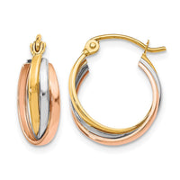 Load image into Gallery viewer, 10K Tri-color Polished Hinged Hoop Earrings
