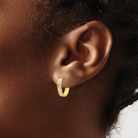 Load image into Gallery viewer, 10K Two-tone with White Rhodium Polished and Satin D/C Earrings
