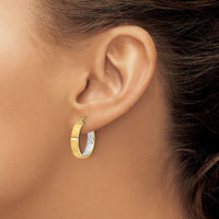 Load image into Gallery viewer, 10K w/ White Rhodium Polished and Diamond-cut Hoop Earrings
