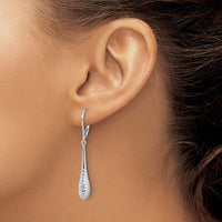 Load image into Gallery viewer, 10K White Gold Polished and D/C Leverback Earrings
