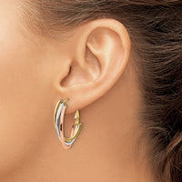 Load image into Gallery viewer, 10K Tri-color Polished Hoop Earrings
