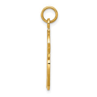 Load image into Gallery viewer, 14k Enameled Artist Palette Charm
