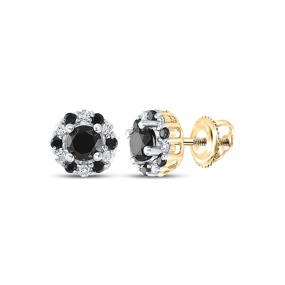 10kt Yellow Gold Womens Round Black Color Enhanced Diamond Stud Earrings 1.00 Cttw