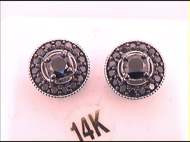 14kt White Gold Womens Color Enhanced Black Diamond Stud Earrings 2.00 Cttw