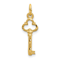 Load image into Gallery viewer, 14K Polished Diamond-cut 3D Key Charm
