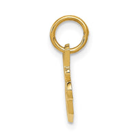 Load image into Gallery viewer, 14k SPECIAL SISTER Charm
