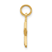 Load image into Gallery viewer, 14k Diamond-cut Star Charm
