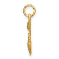Load image into Gallery viewer, 14k Satin Tom Cat Charm

