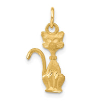 Load image into Gallery viewer, 14k Satin Tom Cat Charm
