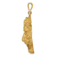 Load image into Gallery viewer, 14k Diamond-cut Tigers Head Pendant
