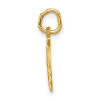 Load image into Gallery viewer, 14K Eternal Life Cross in Circle Charm
