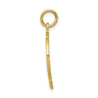 Load image into Gallery viewer, 14k Horseshoe Good Luck Charm
