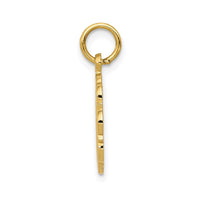 Load image into Gallery viewer, 14k RN Registered Nurse Disc Charm
