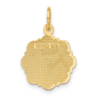 Load image into Gallery viewer, 14k RN Registered Nurse Disc Charm
