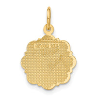 Load image into Gallery viewer, 14k RN Registered Nurse Disc Charm
