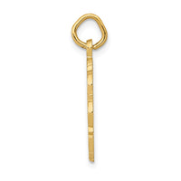 Load image into Gallery viewer, 14k RN Registered Nurse Disc Charm
