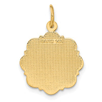 Load image into Gallery viewer, 14k RN Registered Nurse Disc Charm
