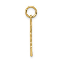 Load image into Gallery viewer, 14k Registered Nurse Practitioner Charm
