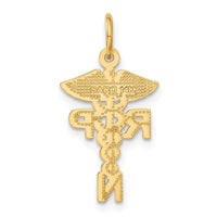 Load image into Gallery viewer, 14k Registered Nurse Practitioner Charm
