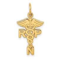 Load image into Gallery viewer, 14k Registered Nurse Practitioner Charm
