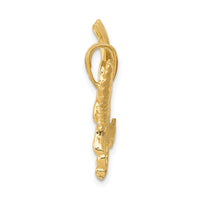 Load image into Gallery viewer, 14k Solid Polished Eagle Pendant
