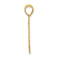 Load image into Gallery viewer, 14k Solid Satin Polished Leo Zodiac Oval Pendant
