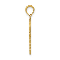 Load image into Gallery viewer, 14k Caduceus w/Nurses Cap Pendant
