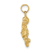 Load image into Gallery viewer, 14k 3-D Aquarius Zodiac Charm
