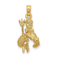 Load image into Gallery viewer, 14k 3-D Aquarius Zodiac Charm
