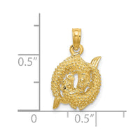Load image into Gallery viewer, 14k 3-D Pisces Zodiac Charm
