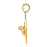 Load image into Gallery viewer, 14k PUERTO RICO with Frog Pendant
