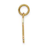 Load image into Gallery viewer, 14k DIPLOMA Charm
