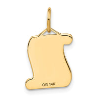 Load image into Gallery viewer, 14k DIPLOMA Charm
