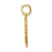 Load image into Gallery viewer, 14K Satin Front / Polished Back Nefertiti Charm
