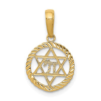 Load image into Gallery viewer, 14K Star of David and Chai in Circle Pendant
