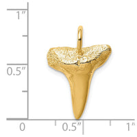 Load image into Gallery viewer, 14K Shark Tooth Pendant
