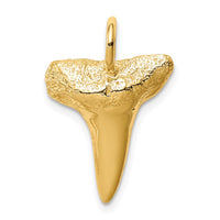 Load image into Gallery viewer, 14K Shark Tooth Pendant
