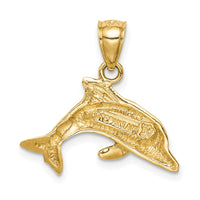 Load image into Gallery viewer, 14K Lab Created Opal Dolphin Pendant
