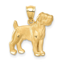 Load image into Gallery viewer, 14K Diamond-cut Boxer Pendant
