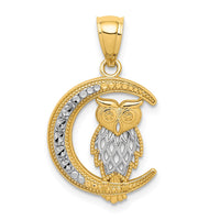 Load image into Gallery viewer, 14K White Rhodium D/C Owl on the Moon Pendant
